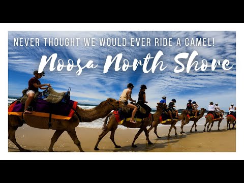 Noosa North Shore - October 2022 - Never thought we would ride a camel!