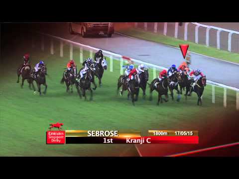 Emirates Singapore Derby 2015 Contenders (Sebrose)