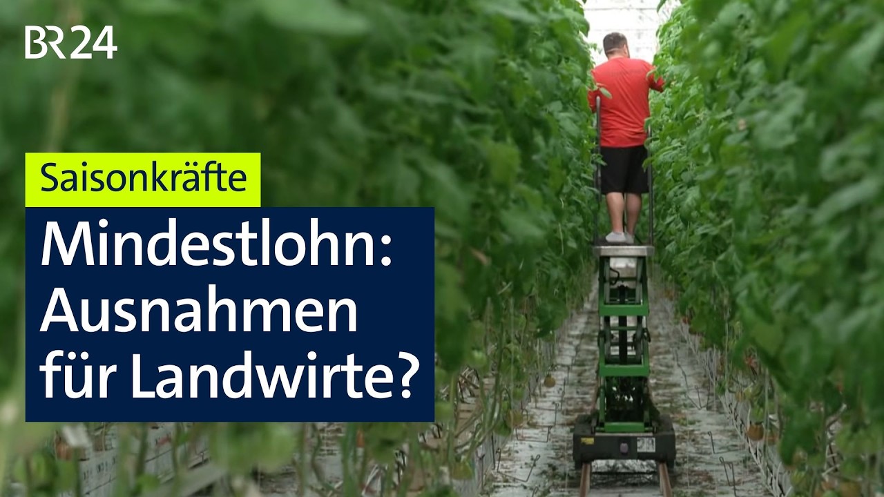 Bauernverband fordert Mindestlohn-Sonderregel für Saisonkräfte | BR24