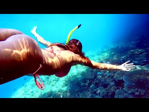 Summer Ocean Sound 🐳 Chill House Relax 24/7 🐳 Best Of Tropical Ibiza Deep House Music Chill Out Mix