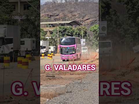 ONIBUS ROSA AGUIA