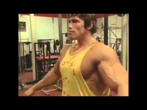 LP - PAI DA MUSCULAÇÃO (VIDEOCLIPE OFICIAL!)