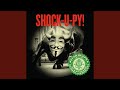 Shock-U-Py!