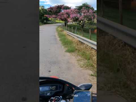 Região de Itamonte isso é Minas Gerais #honda #viral #gopro