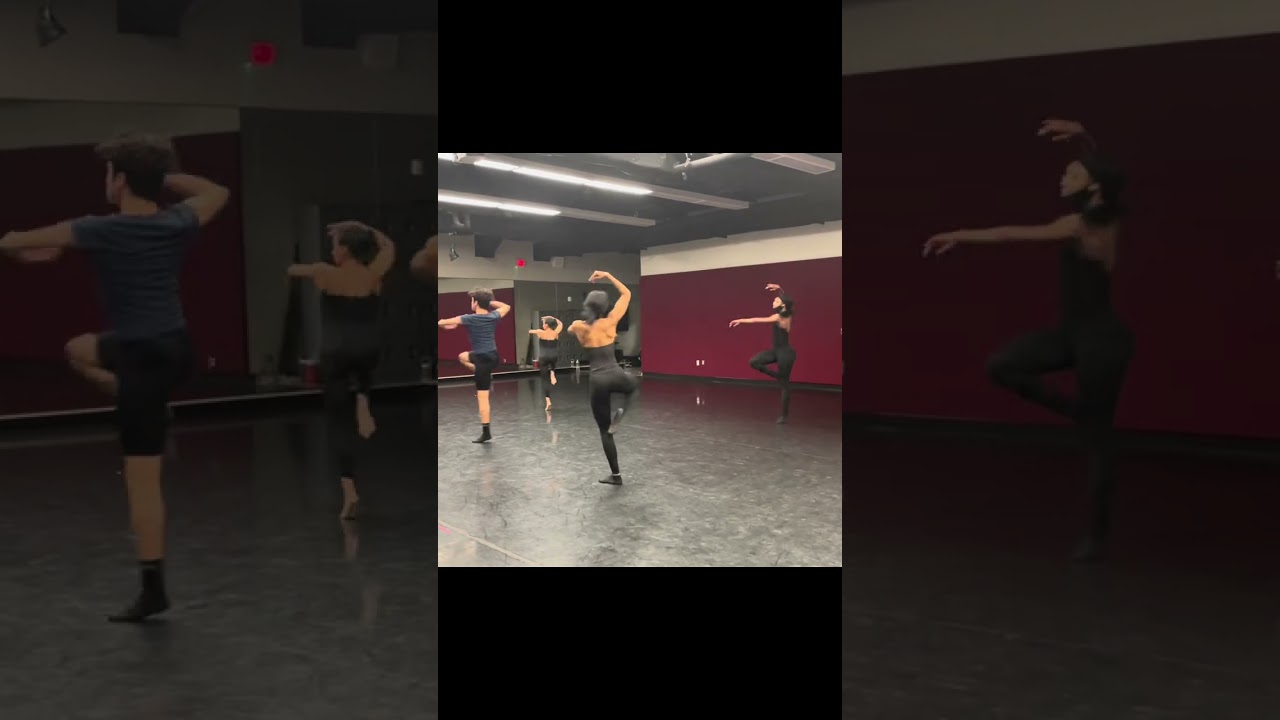 Promotional video thumbnail 1 for Renee Nior Entertainment