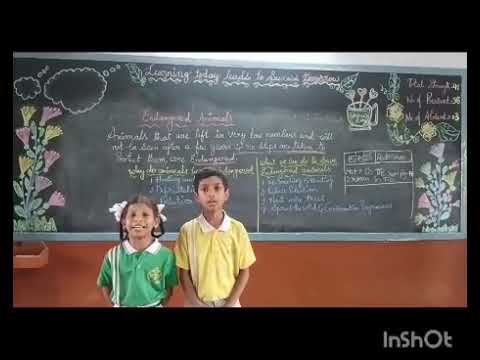Endangered Animals Activity
