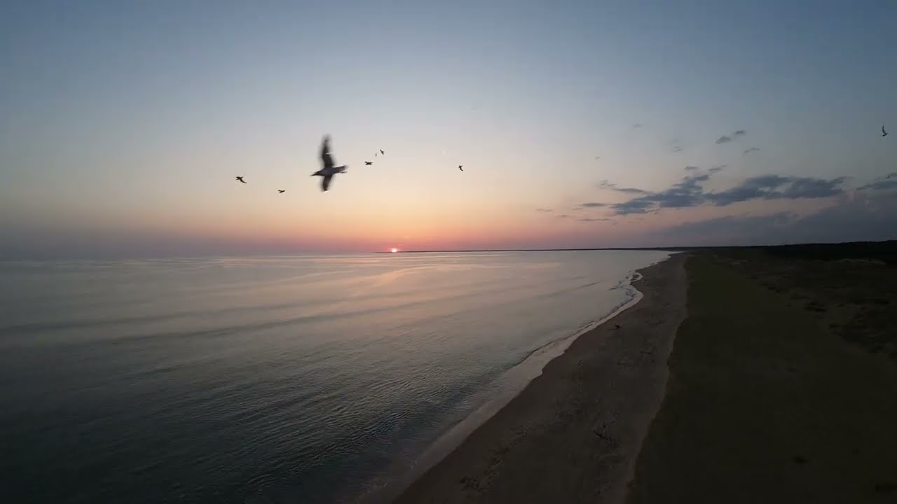 Showreel Video