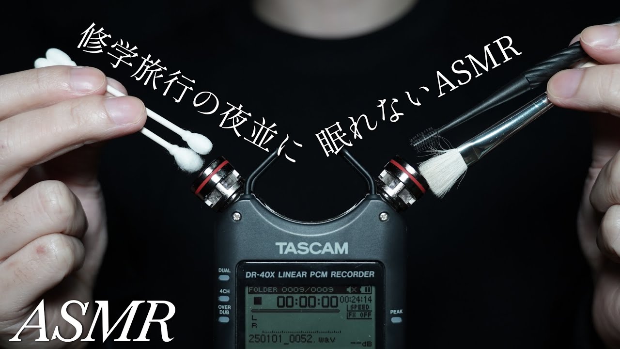 ASMR 眠れるわけがない耳かき&マイクブラッシングとささやき雑談 Mic Scratching, Brushing & Whisper