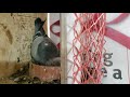 First Round Young Bird  2020 update 5