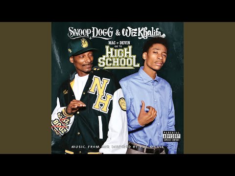 You Can Put It In A Zag Imma Put It In A Blunt - Wiz Khalifa