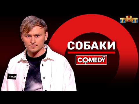 Камеди Клаб «Собаки» Женя Синяков @ComedyClubRussia