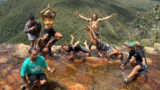 VitaRoots — Momentos