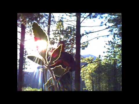 Video thumbnail for ​forgot what i love about this place pt 1