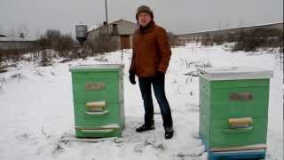 Зимовка пчел под снегом