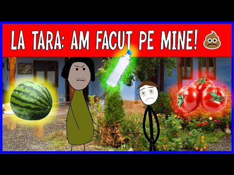 LA TARA: GROAPA, PEPENELE SI CEARDACUL!