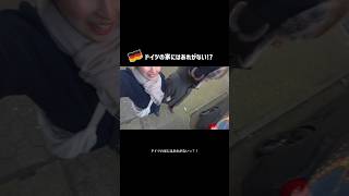 🇩🇪ドイツの家にはあれがない!?#shorts #海外生活 #ドイツ  #国際結婚