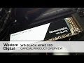 Накопитель SSD Western Digital WDS256G1X0C - відео