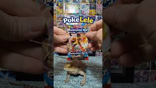 PokeLele Pokemon Opening 907