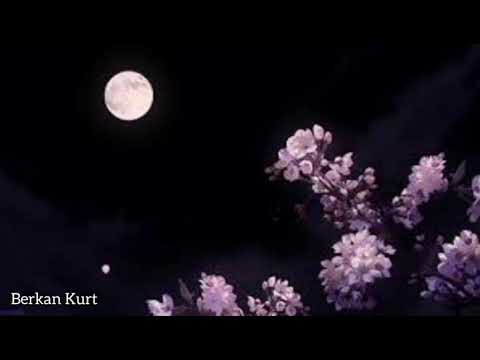 Pinhani ft. Kalben - İyi Değilim Ben (Lyrics)