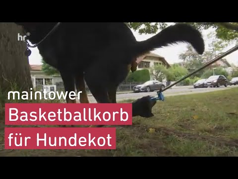 Mobile Hundekotauffanghilfe | maintower