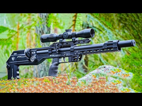 Top 10 Best Air Rifles For 2025