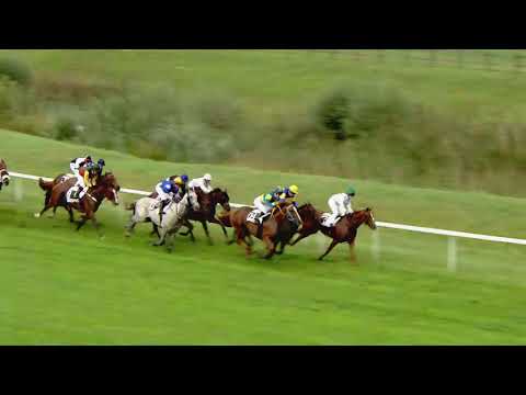Avenches/17.09.2017/Prix de Lyss