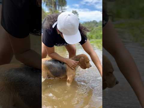 A la mía no le gusta bañarse 🧼