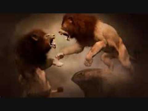 Freestyle 1 take 3.5 minutes  lion in the booth by Solution