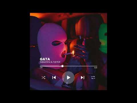 SABANTINO & TAIL KLK - GATA (AUDIO)