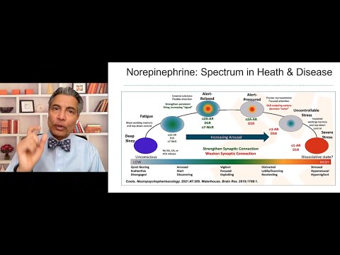 Norepinephrine In Health and Disease