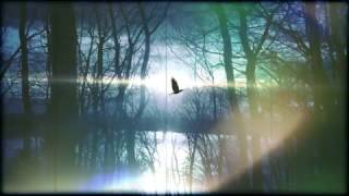 Facing The Void - (Track 01) Alexander