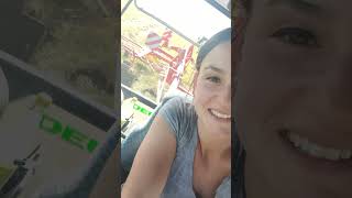 Schwadern #landwirtschaft #landwirtin #hoamat #landleben #dorf #silage #pöttinger #deutz_fahr #girl