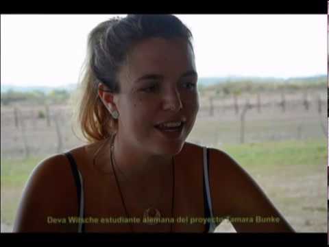 Cuba  en un viaje a la esencia humana