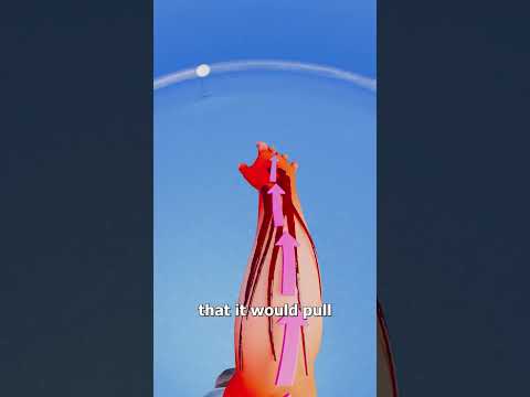 Can You Fly If You Spin Fast Enough? 🤔