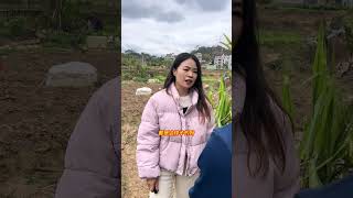 Download lagu Kenyataan Kencan Buta di Pedesaan: Kehidupan Paman Dua Belas Terungkap mp3