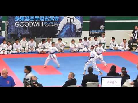 2013 Intl (Bassai-Dai) Team Kata