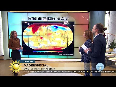 2016 på väg bli varmaste året någonsin - Nyhetsmorgon (TV4)