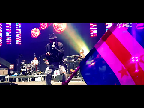 Livity and Friends (Jorge Neto feat. Edje Rust) Rosinha