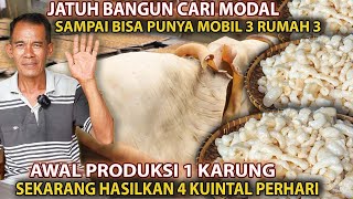 Download lagu MERINTIS JATUH BANGUN ‼️AWAL PRODUKSI 1 KARUNG SEKARANG 1,2 TON /BLN KEBELI 3 MOBIL 3 RUMAH mp3 Download lagu MERINTIS JATUH BANGUN ‼️AWAL PRODUKSI 1 KARUNG SEKARANG 1,2 TON /BLN KEBELI 3 MOBIL 3 RUMAH mp3