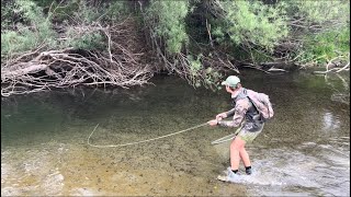 Sight Fishing for Backcountry Rainbow Trout (NZ)