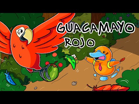 Hola Flinko - Guacamayo Rojo / Capítulo 25 Completo Temporada 1