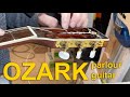 Andy Partridge's Ozark Parlour acoustic Set up