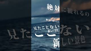 - 私は最強 cover