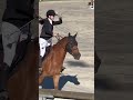 Poney 11 ans 1m48 à louer ou à vendre