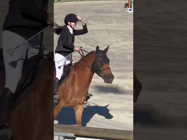 Poney 11 ans 1m48 à louer ou à vendre