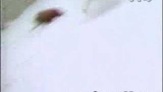 Be careful when you ski