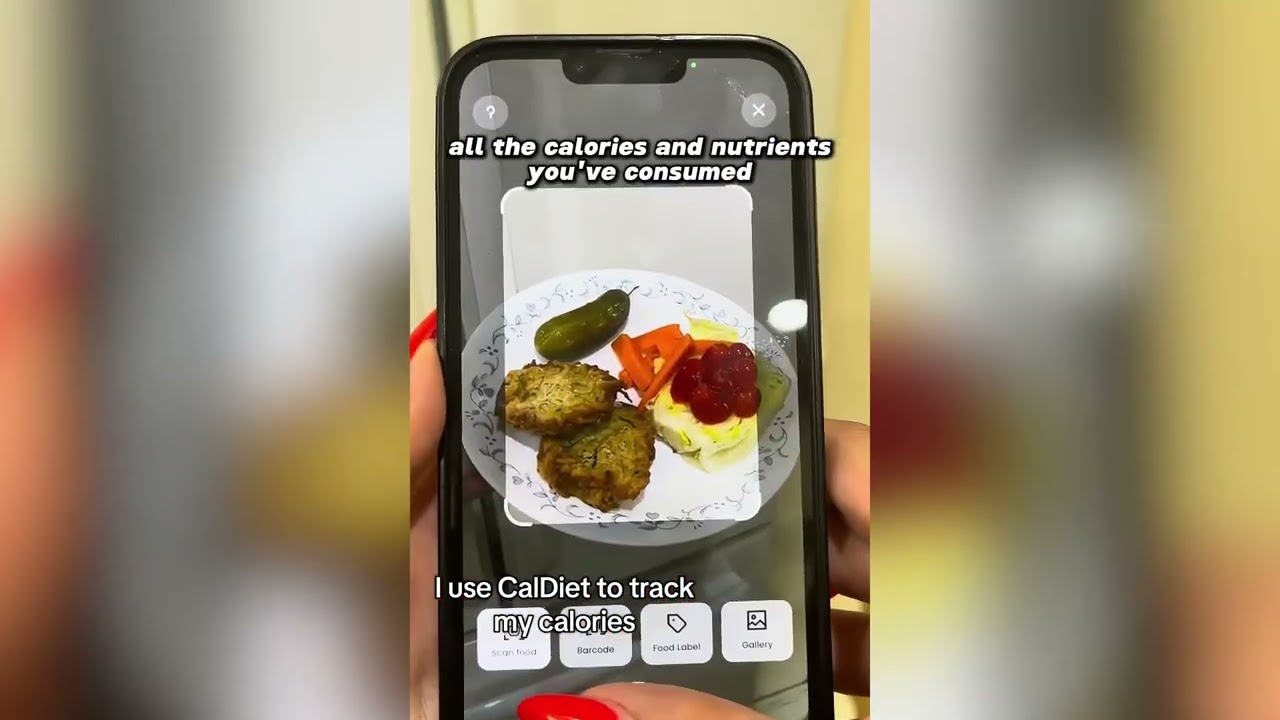 AI Calorie Tracking