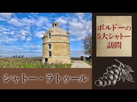 シャトー ド メゾンティエについて詳しく解説