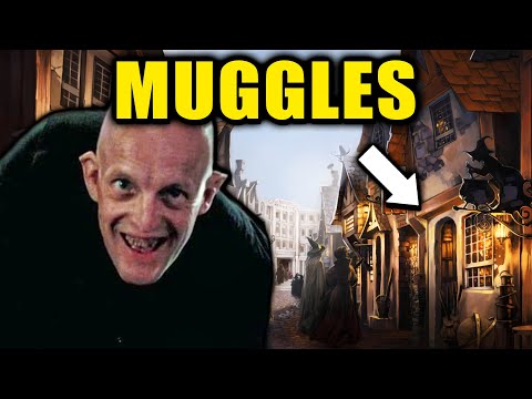 MUGGLES in the Leaky Cauldron..? - Harry Potter Theory
