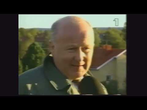 Makrillölet - debatt och inslag i SVT om GAIS-ölet